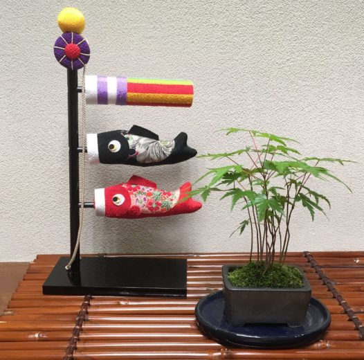 端午の節句とは？こどもの日の由来と祝い方